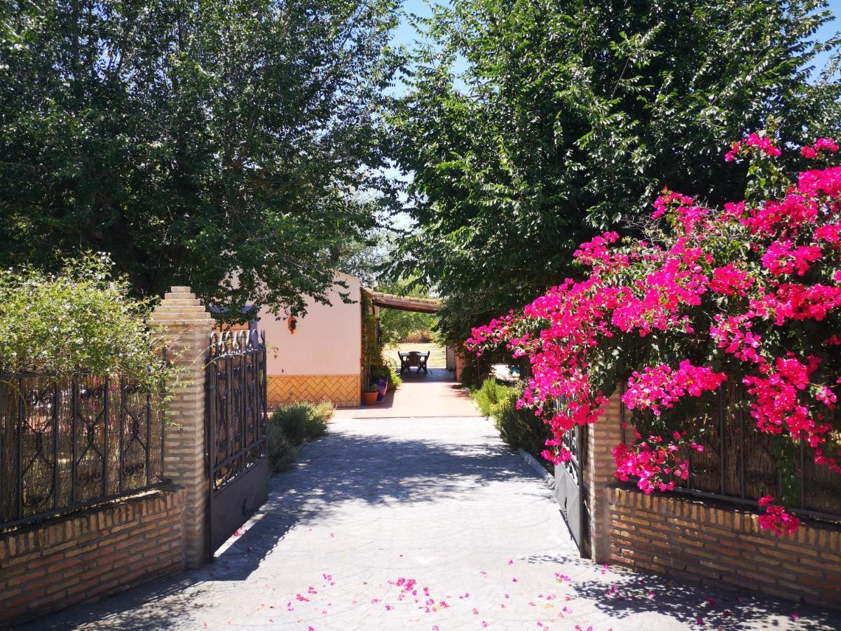 Casa Los Jinetes カルモナ エクステリア 写真